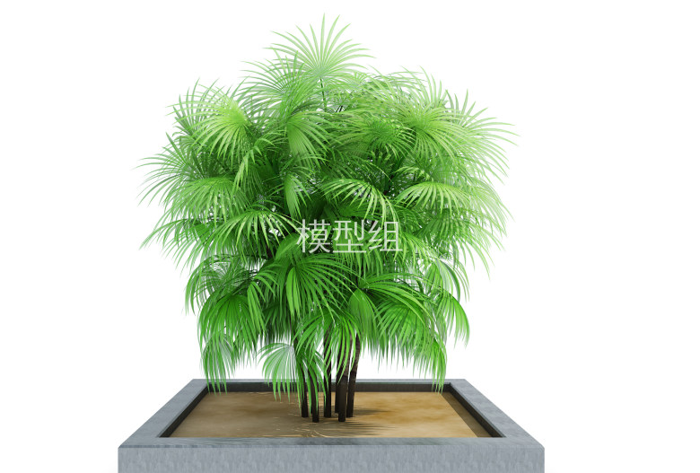 H11-0903室外热带植物树（vr代理）