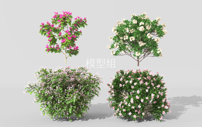 H62-0730景观植物树灌木花草<a href=http://www.moxingzu.com/tag/5283/ target=_blank class=infotextkey>3D模型</a>下载