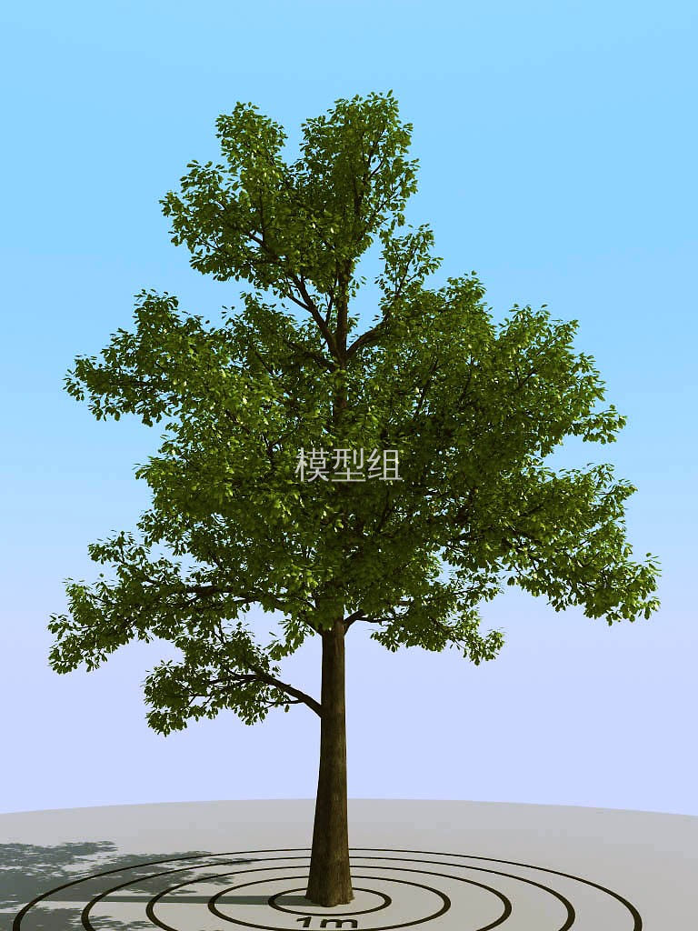 047景观树<a href=http://www.moxingzu.com/tag/5283/ target=_blank class=infotextkey>3D模型</a>下载 (2)