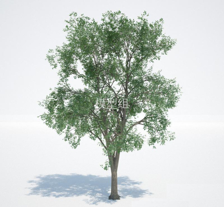 景观树<a href=http://www.moxingzu.com/tag/5283/ target=_blank class=infotextkey>3D模型</a>下载