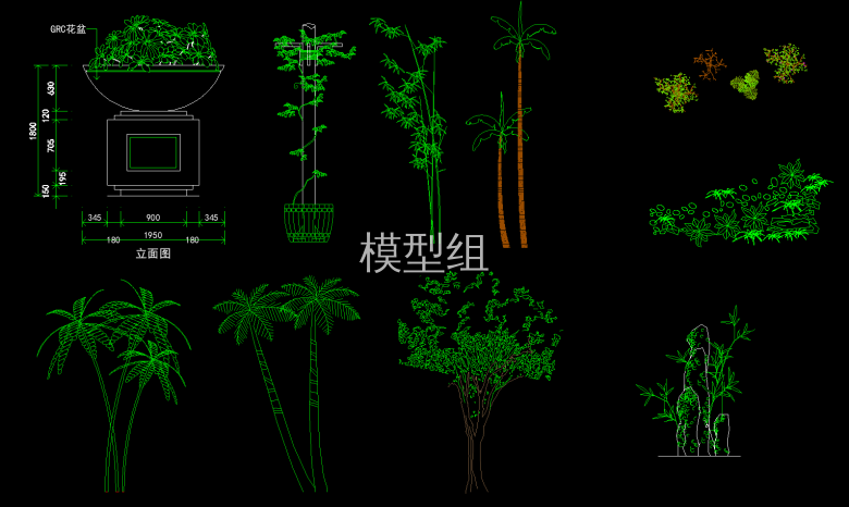 室外植物立面图 (5).png