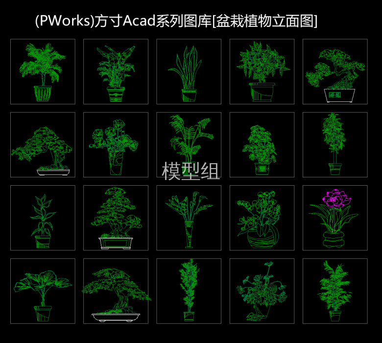 室外盆栽立面图 (3).png