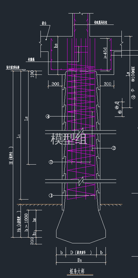 桩身大样图.png