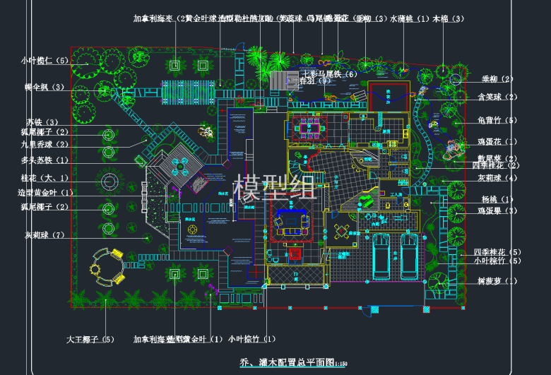 乔木、灌木配置总平面图.png