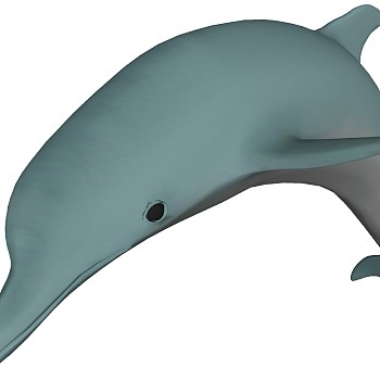 海洋动物海豚 (1)