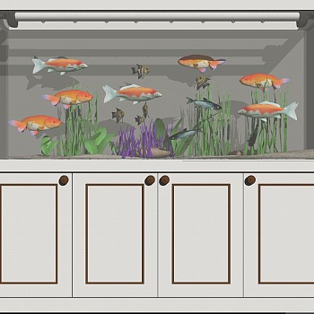 (46)现代浴缸水族箱鱼珊瑚石头水草小鱼金鱼sketchup草图模型下载
