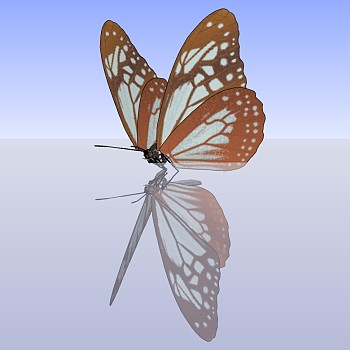 2蝴蝶SketchUp草图模型下载