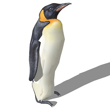 16企鹅SketchUp草图模型下载