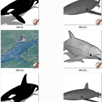 鲨鱼 海豚 SketchUp草图模型下载