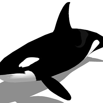 海洋动物鲨鱼su草图模型下载 (3)