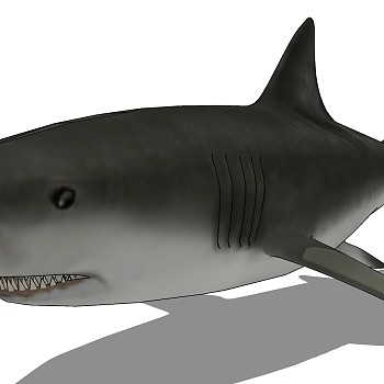 海洋动物鲨鱼su草图模型下载 (2)