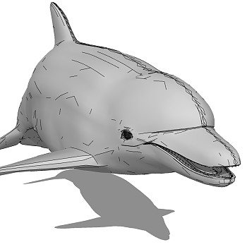 海洋动物海豚 (4)