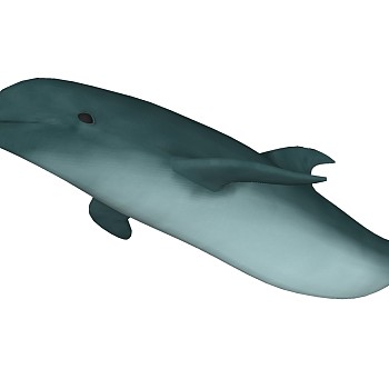海洋动物海豚 (2)