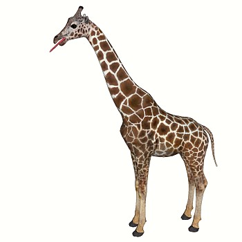 动物长颈鹿su草图模型下载