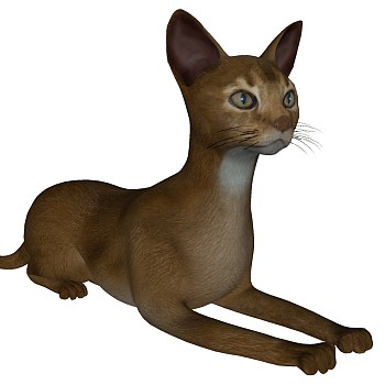 动物宠物猫su草图模型下载 f (2)