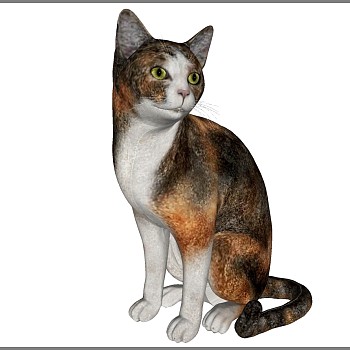动物宠物猫su草图模型下载 (10)