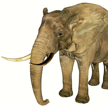 动物大象su草图模型下载