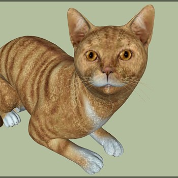 动物宠物猫su草图模型下载 (9)