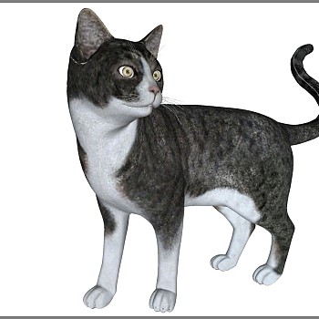 动物宠物猫su草图模型下载 (7)