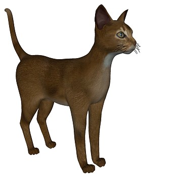 动物宠物猫su草图模型下载 (5)