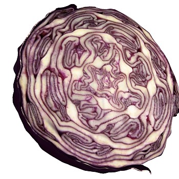蔬菜 紫菜 (2)