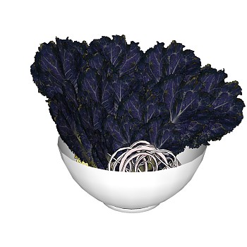 蔬菜 紫菜