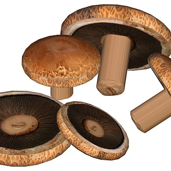 蔬菜 香菇蘑菇