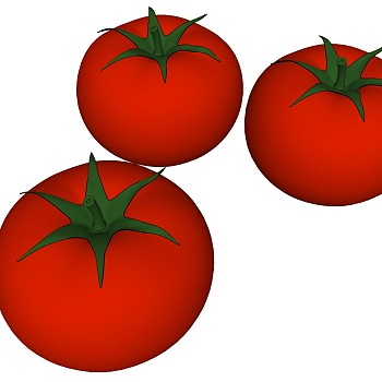 蔬菜 番茄西红柿  (1)