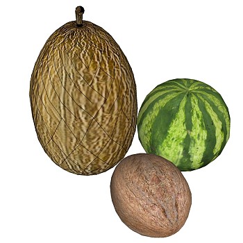 水果 椰子西瓜
