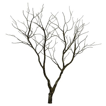 枯树树枝干枝树干摆件sketchup草图模型下载 (12)