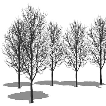 枯树树枝干枝树干摆件sketchup草图模型下载 (1)