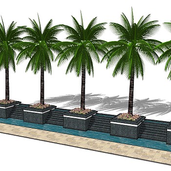 01景观树池椰子树sketchup草图模型下载