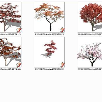 室外园林景观树sketchup草图模型下载