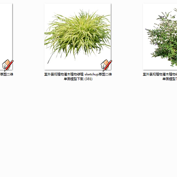 室外景观植物灌木植物绿植 sketchup草图二维单面模型下载