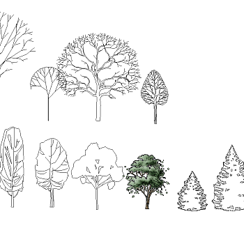 14-手绘风格景观植物树剪影树