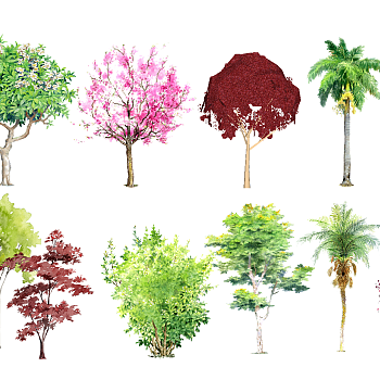 06-手绘抽象风格景观植物树