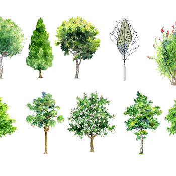 04-手绘抽象风格景观植物树