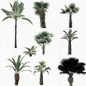 园林景观植物树su草图模型下载