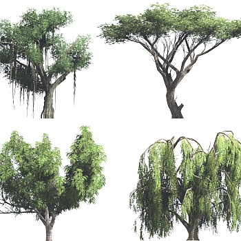 景观植物树2d模型su草图模型下载a (1)1