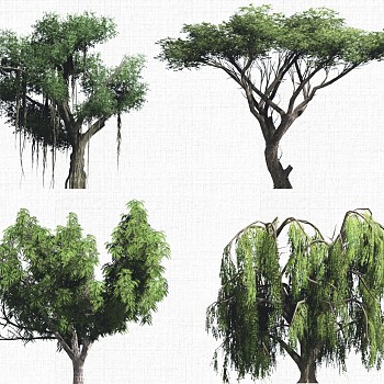 景观植物树2d模型su草图模型下载a (1)1