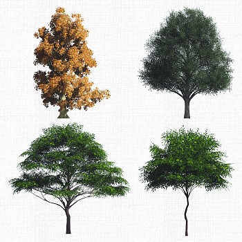 景观植物树2d模型su草图模型下载a (3)1