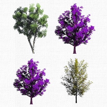 景观植物树2d模型su草图模型下载a (7)2