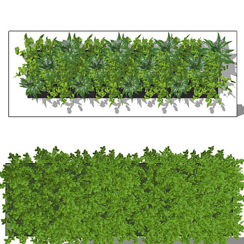 现代垂直绿化植物绿植墙植物墙9