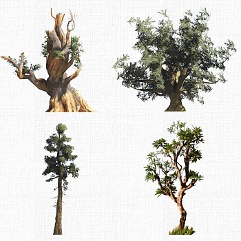 景观植物树2d模型su草图模型下载a (14)1