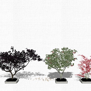 景观植物树su草图模型下载 (1)1