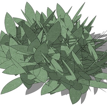 室外园林3d景观地被植物灌木sketchup草图模型下载  (45)