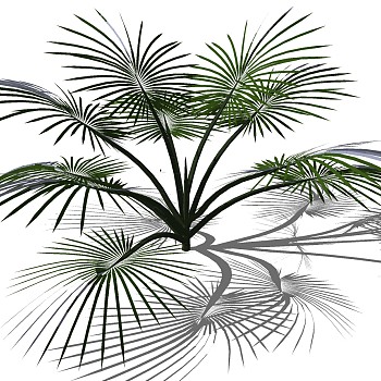 室外园林3d景观地被植物灌木sketchup草图模型下载  (41)