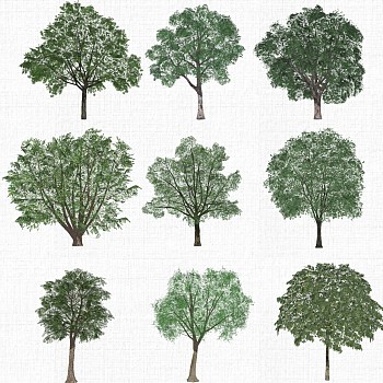 景观树su草图模型下载 (1)1