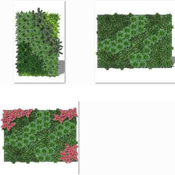 现代垂直绿化植物绿植墙植物墙5