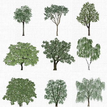 景观树su草图模型下载 (2)1